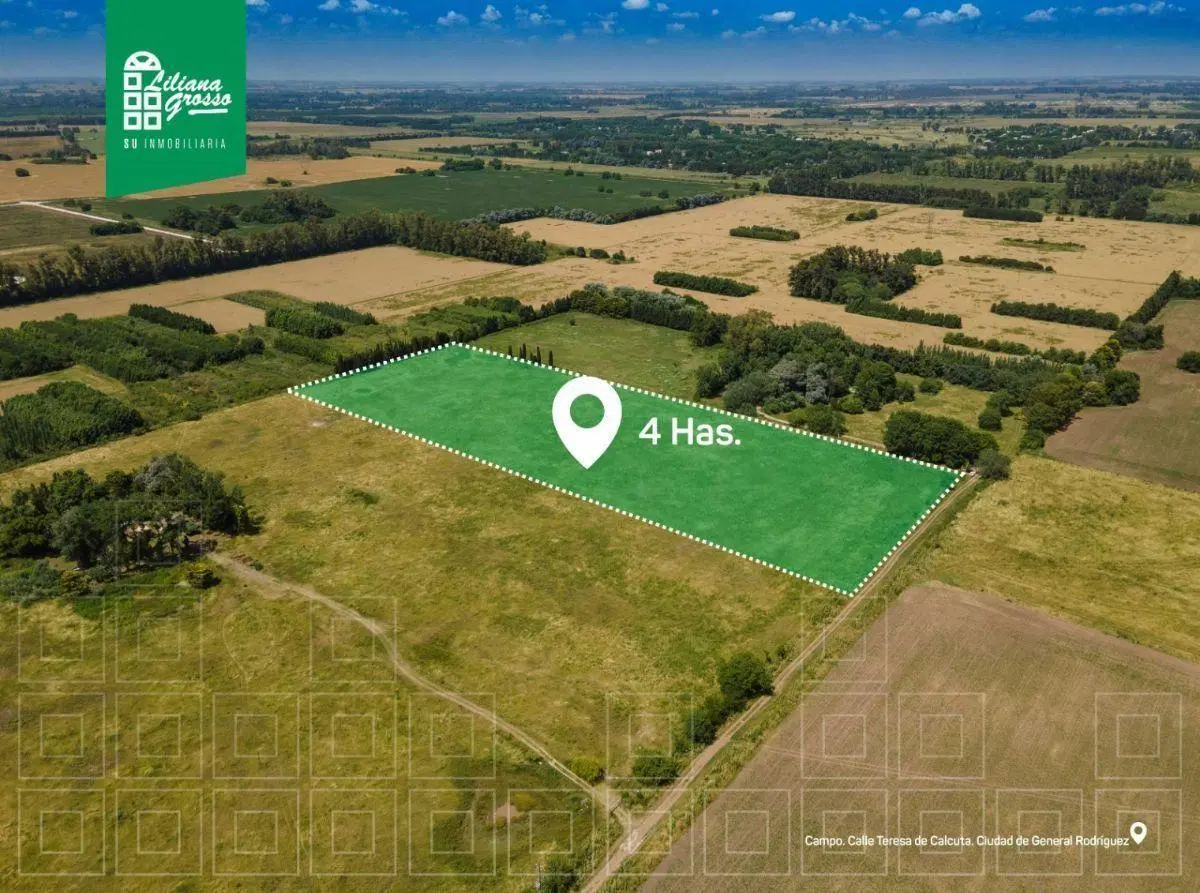 Campo en venta de 4ha ubicado en General Rodríguez 4