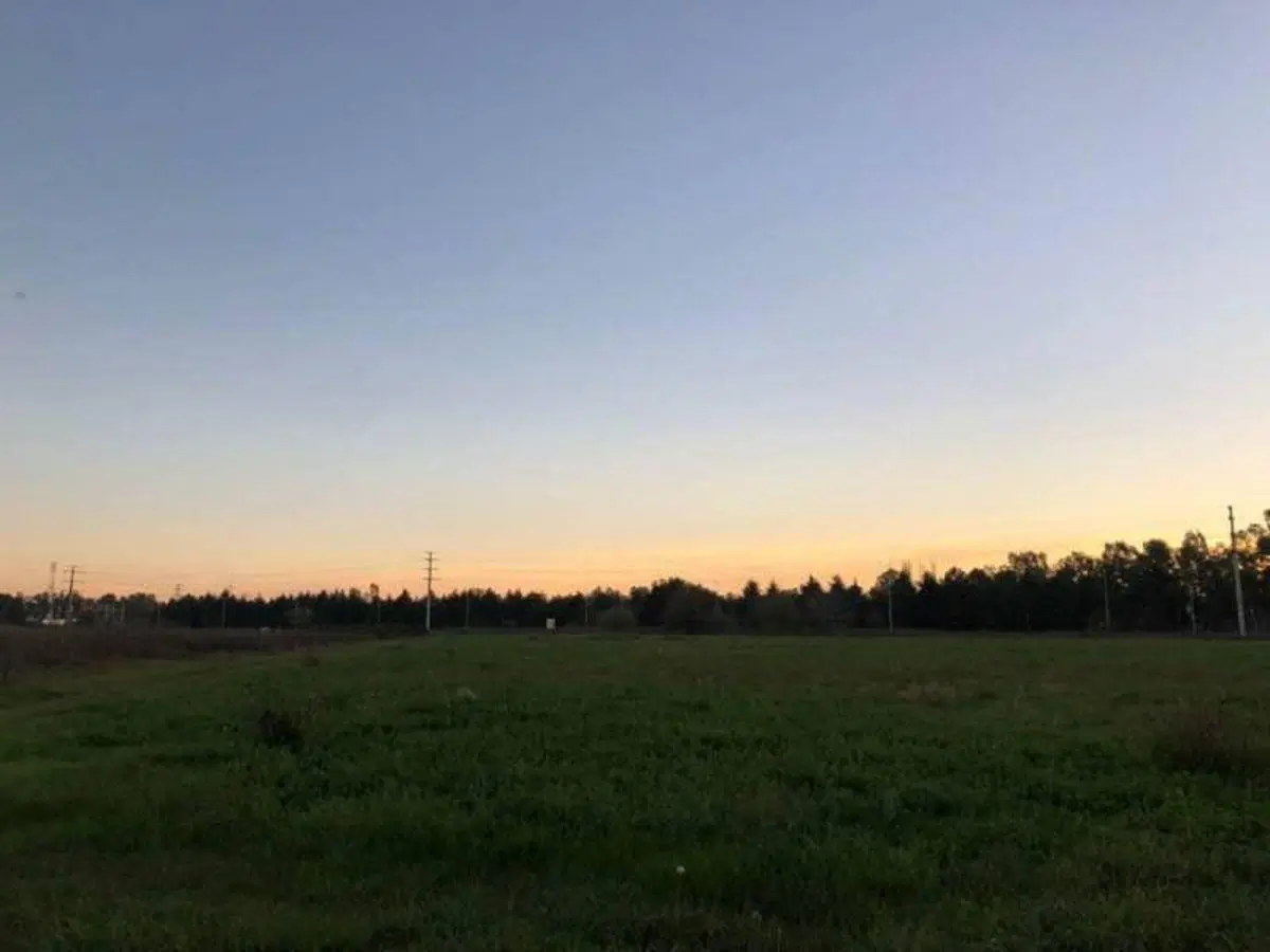Venta Campo Ruta 28 1