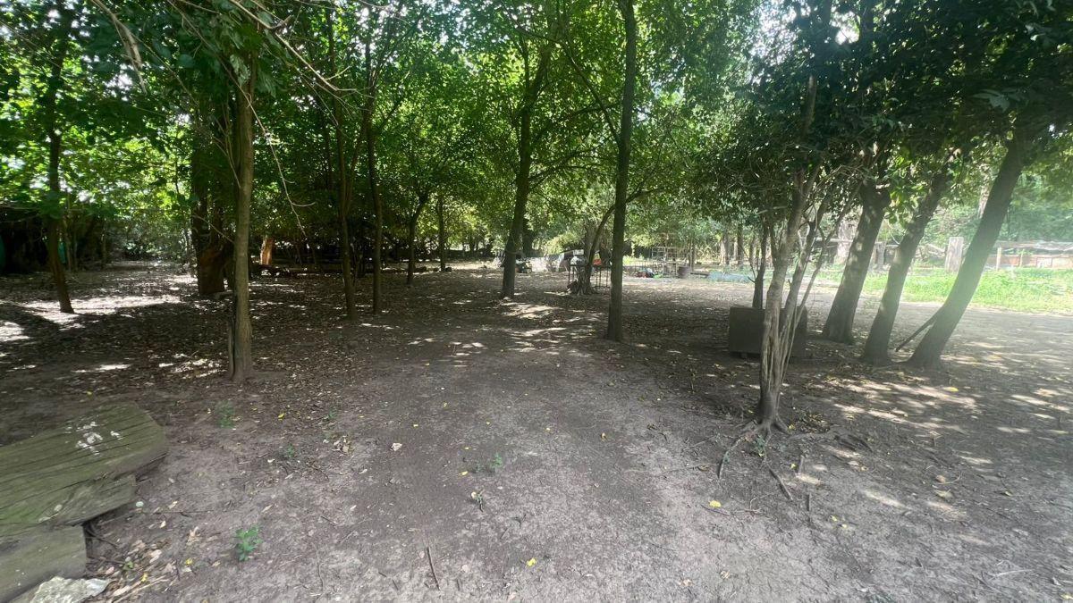 Foto de Campo en venta de 5000m2 ubicado en General Rodríguez, imagen 4