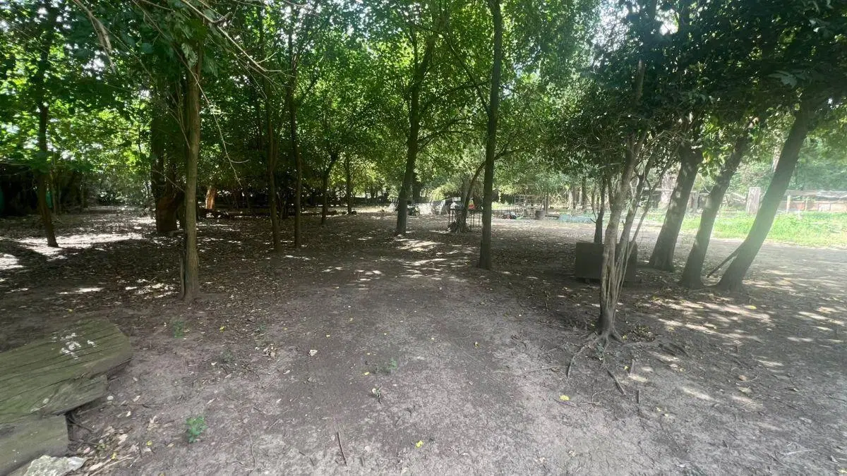 Campo en venta de 5000m2 ubicado en General Rodríguez 4