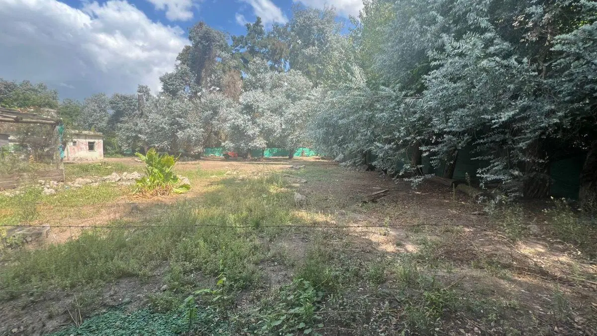 Campo en venta de 5000m2 ubicado en General Rodríguez 2