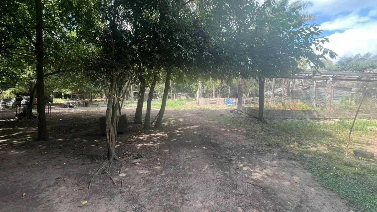 Campo en venta de 5000m2 ubicado en General Rodríguez 1