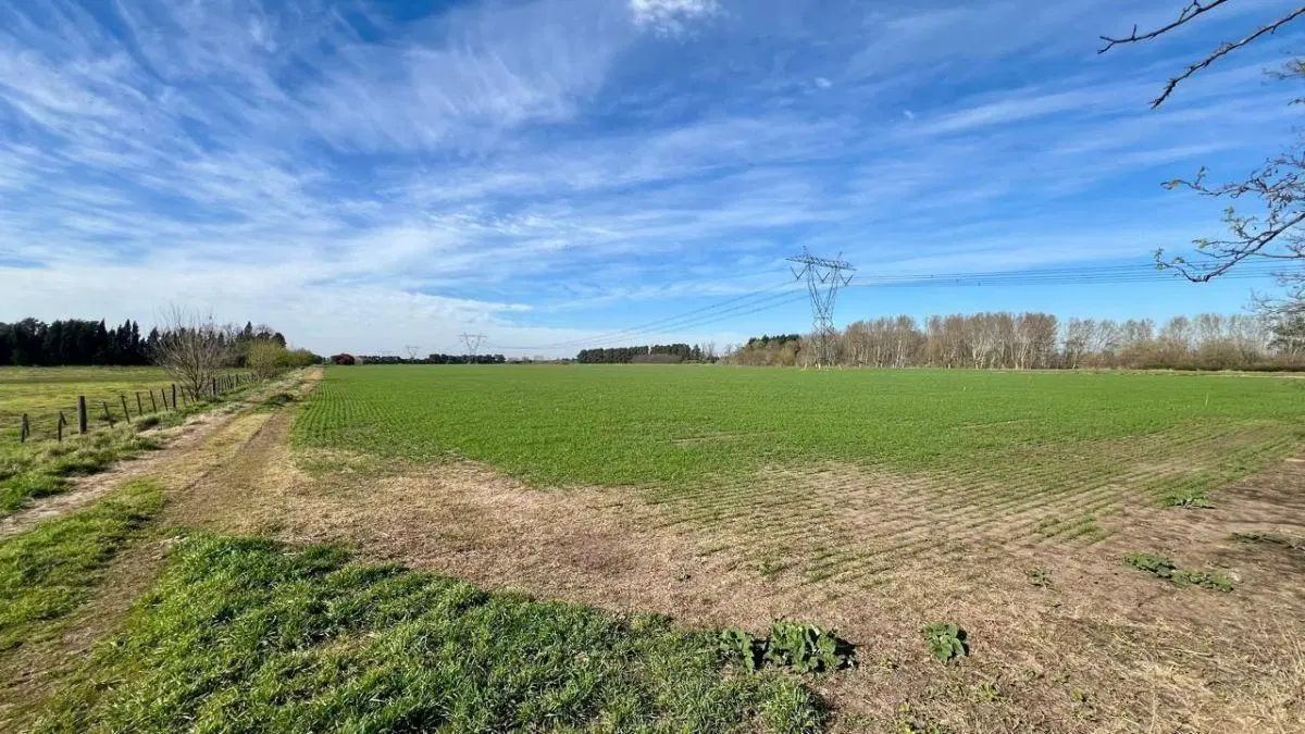 Venta Campo General Rodriguez 3