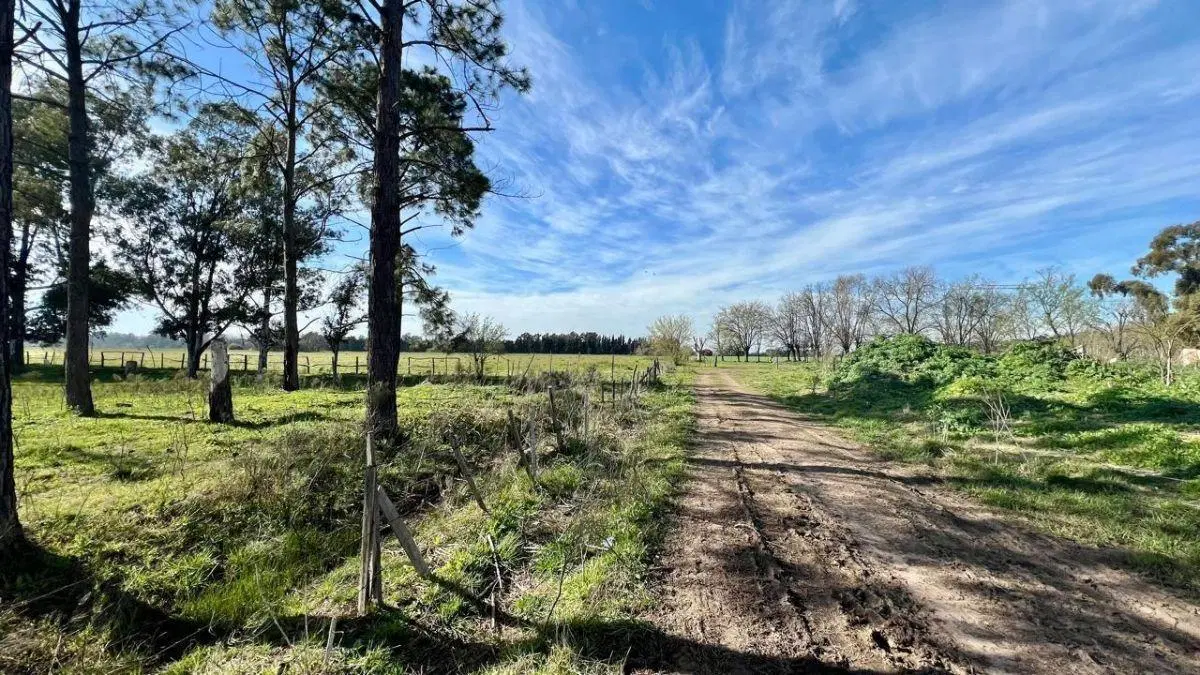 Venta Campo General Rodriguez 4