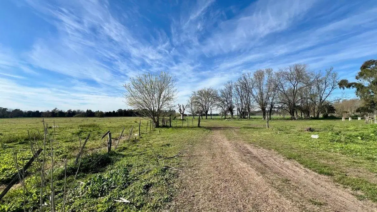 Venta Campo General Rodriguez 5
