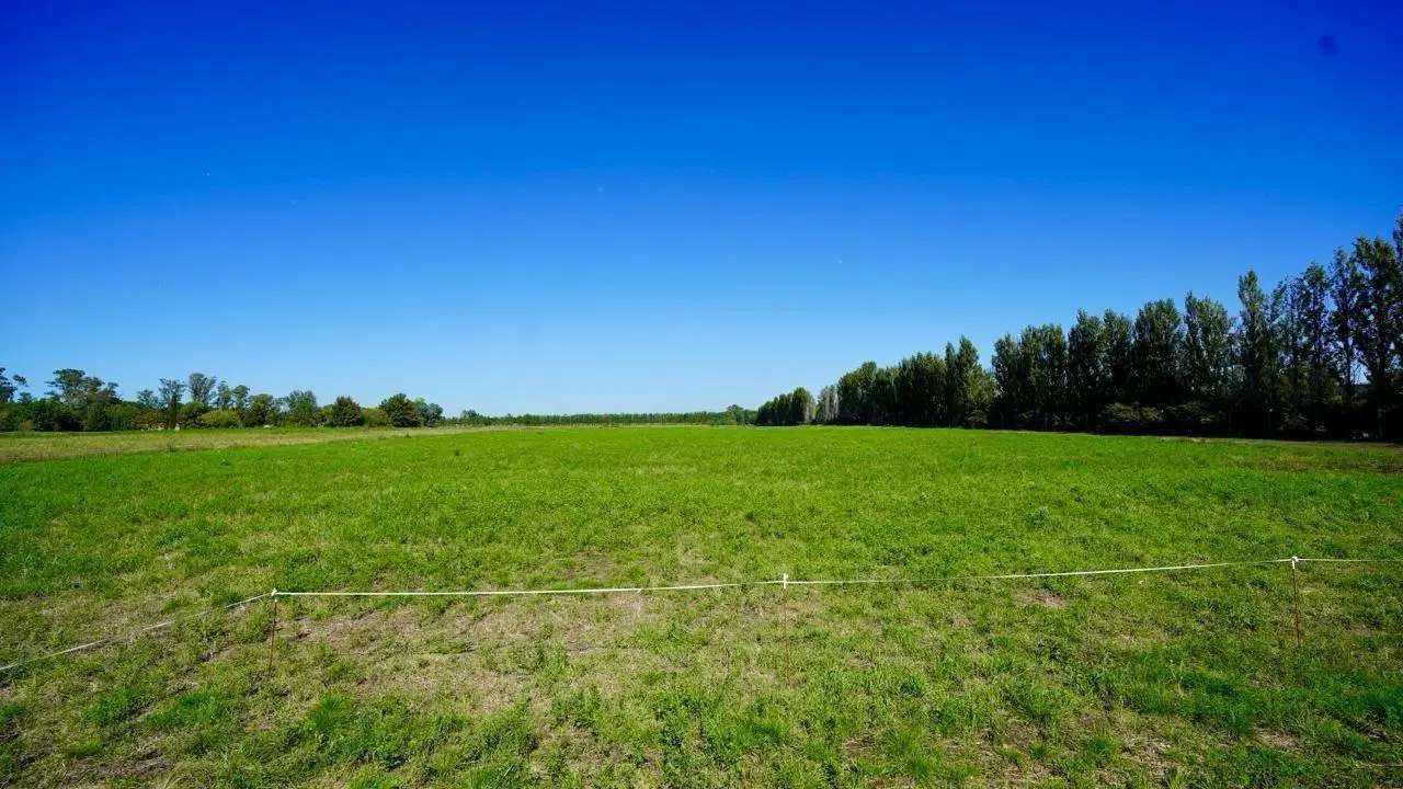 VENTA CAMPO RUTA 34 5