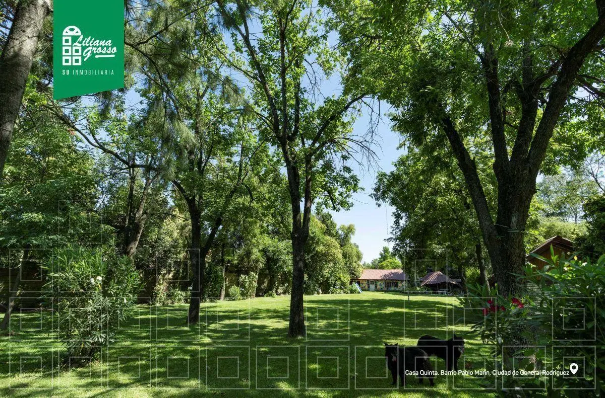 Quinta con 3128 m² totales sobre ruta 7 3