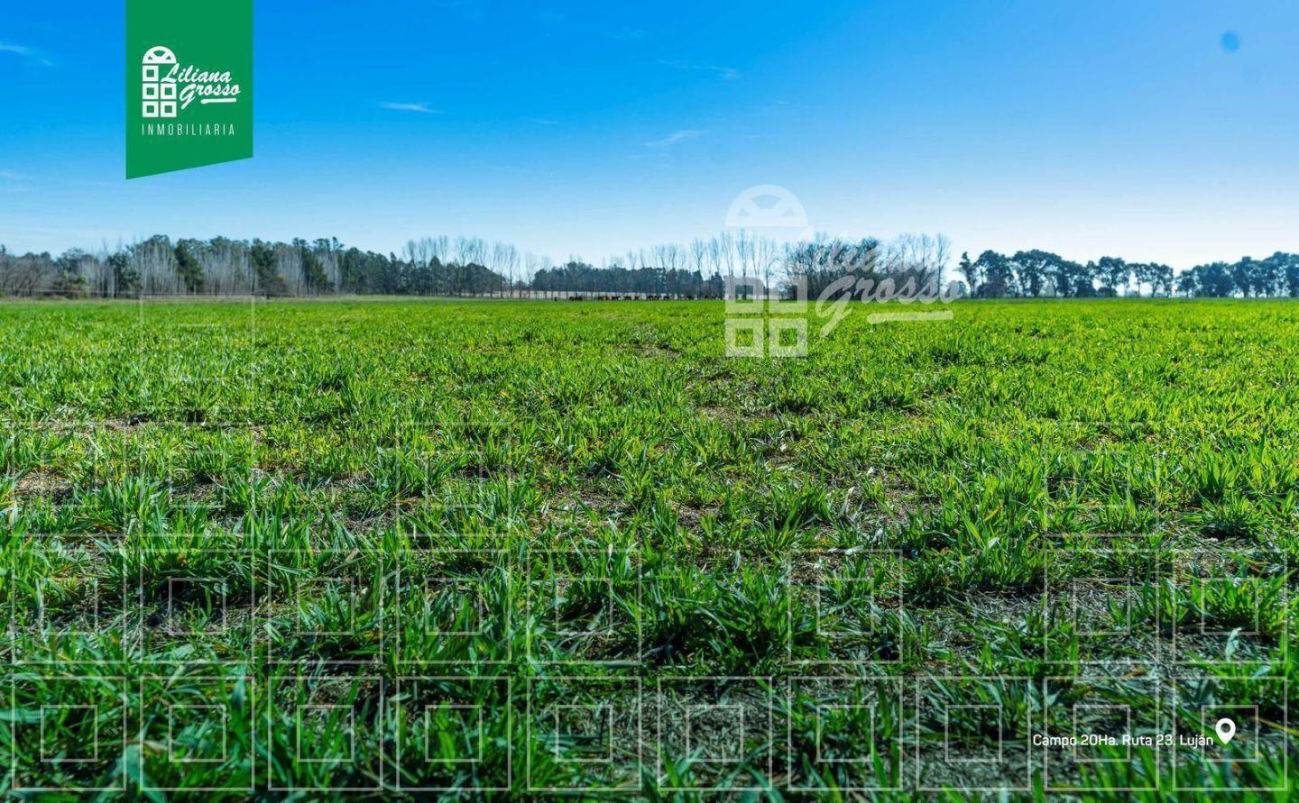 Foto de Venta Campo Lujan, imagen 3