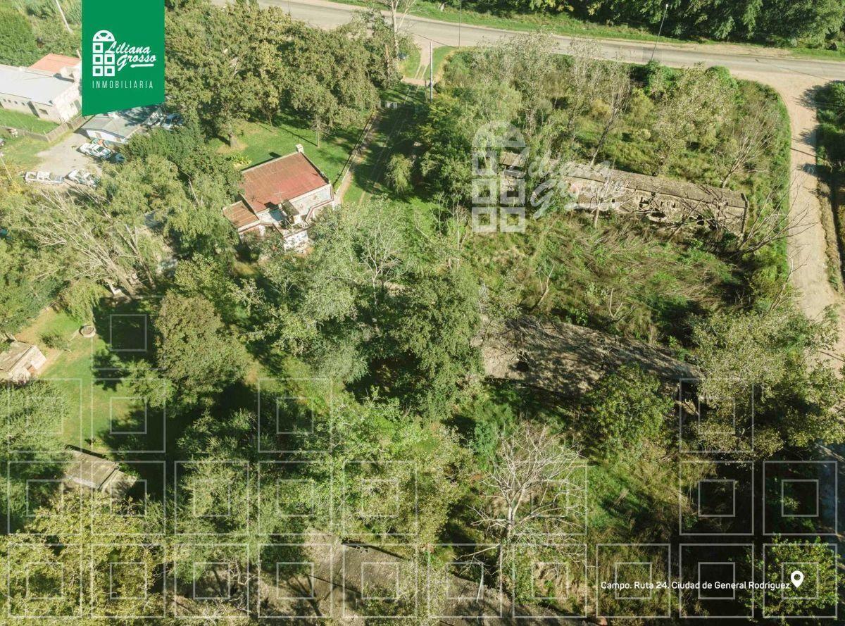 Foto de Venta Campo Ruta 24 General Rodriguez, imagen 4