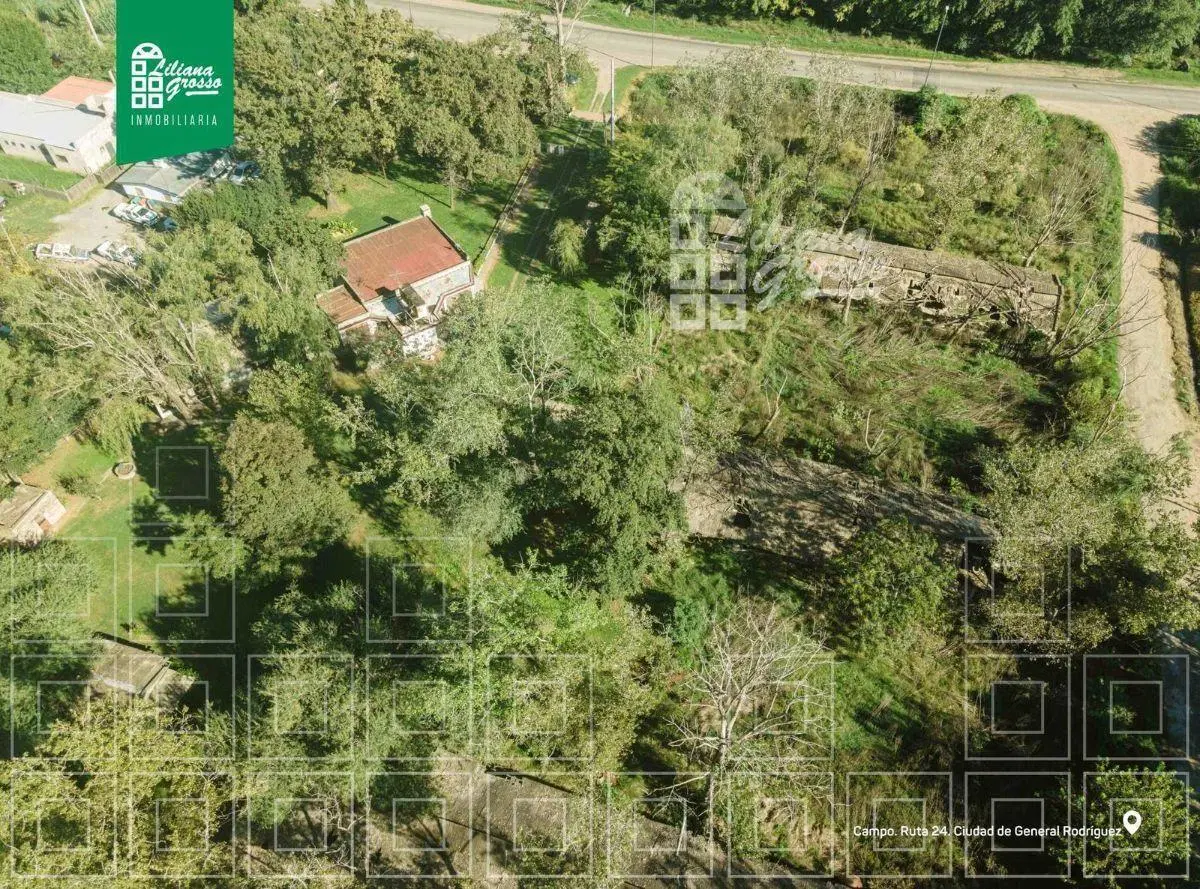 Venta Campo Ruta 24 General Rodriguez 4