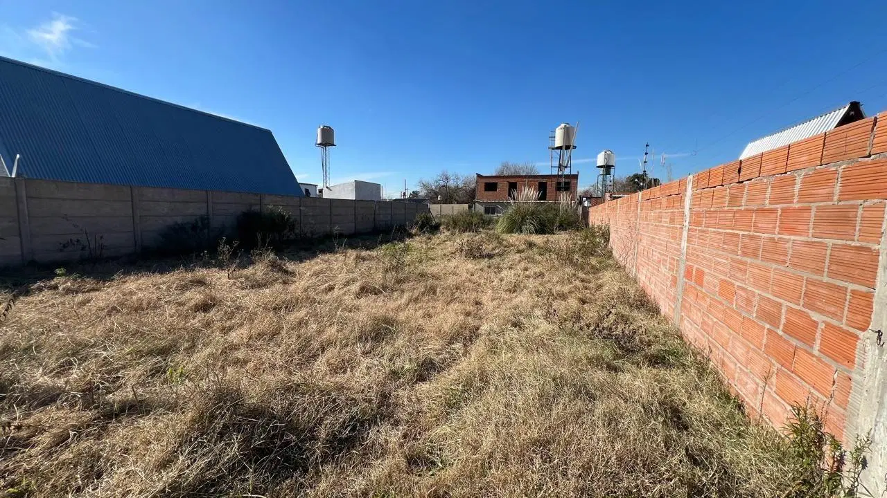 Lote . | Antartida Argentina 2