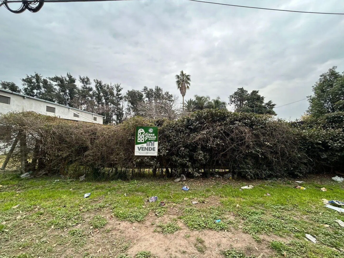 VENTA TERRENO FRONDIZI 3