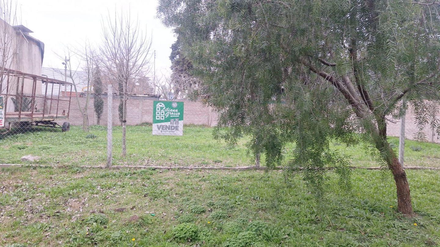 Foto de Lote . | Los Talas, imagen 1