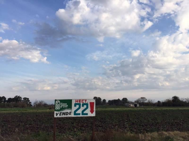 Foto de Campo 22 hectáreas | . | Ruta 5 ex 7, imagen 4