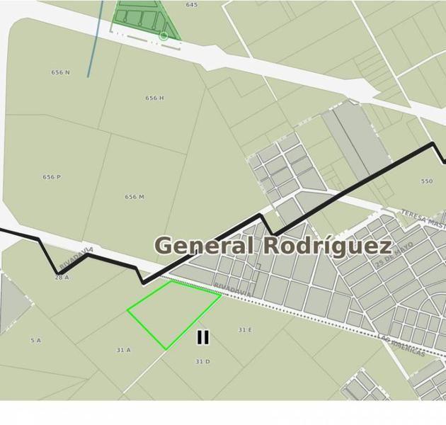 Foto de Campo 22 hectáreas | . | Ruta 5 ex 7, imagen 5