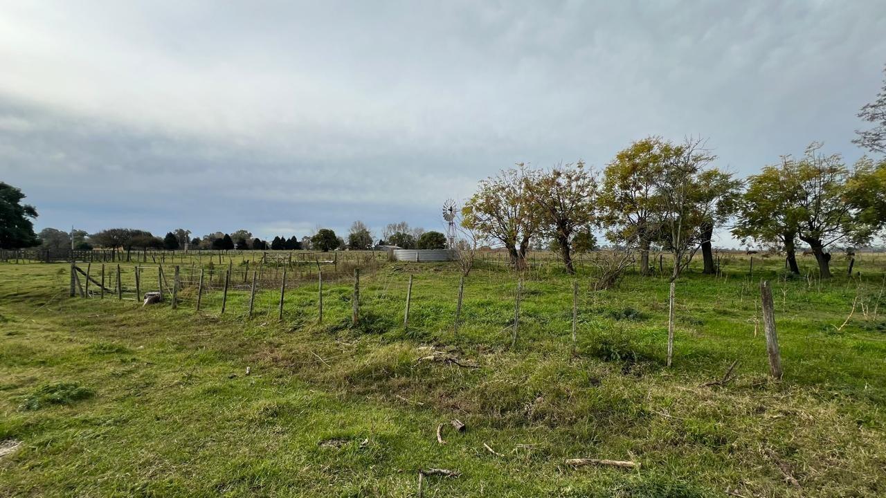 Foto de Campo 95 hectáreas | . | Enrique Fynn, imagen 2