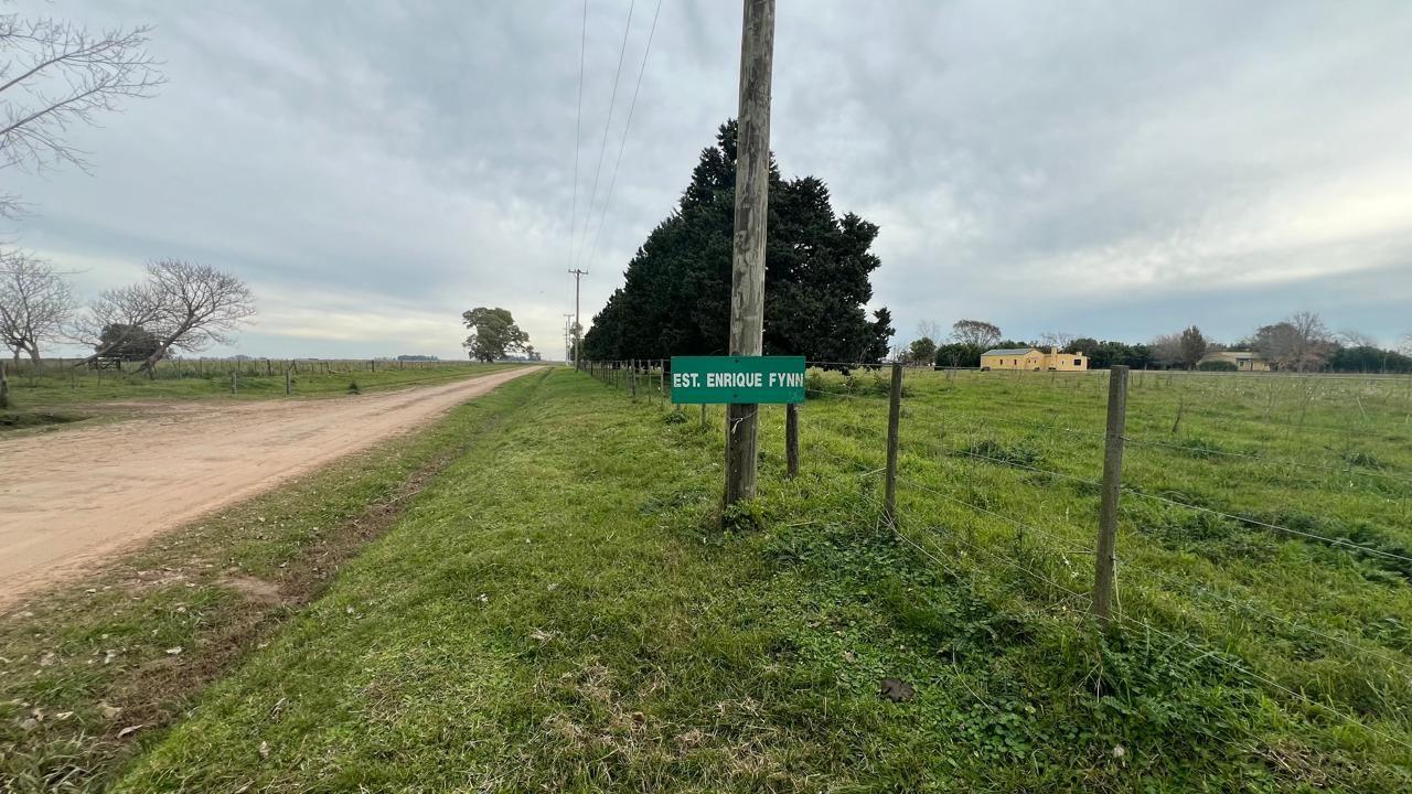 Foto de Campo 95 hectáreas | . | Enrique Fynn, imagen 1