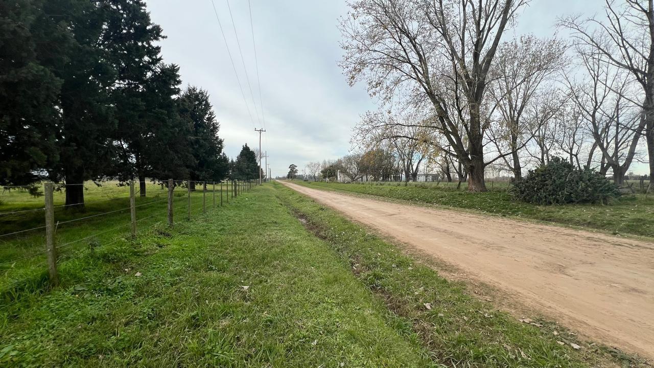 Foto de Campo 95 hectáreas | . | Enrique Fynn, imagen 4