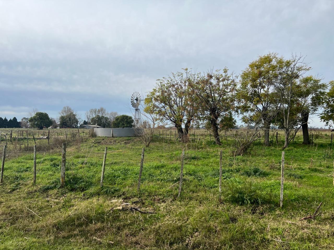 Foto de Campo 95 hectáreas | . | Enrique Fynn, imagen 3