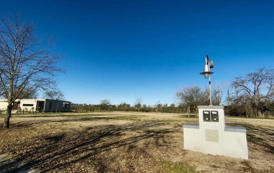 Foto de Lote . | Lote 304, imagen 3