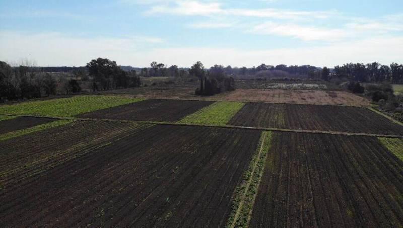 Foto de Venta Campo Pilar, imagen 1