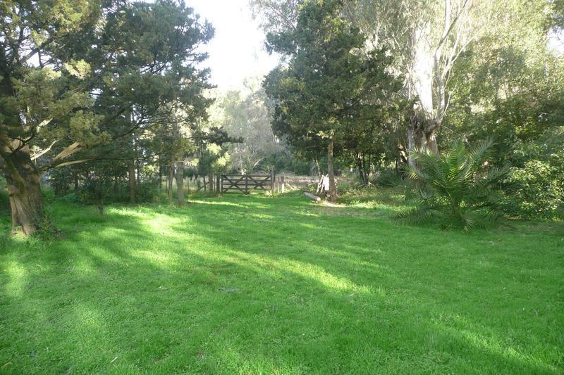Foto de QUINTA EN CHASCOMUS SOBRE RUTA 2 CON 170 MTS DE FRENTE - IDEAL PARA, imagen 3