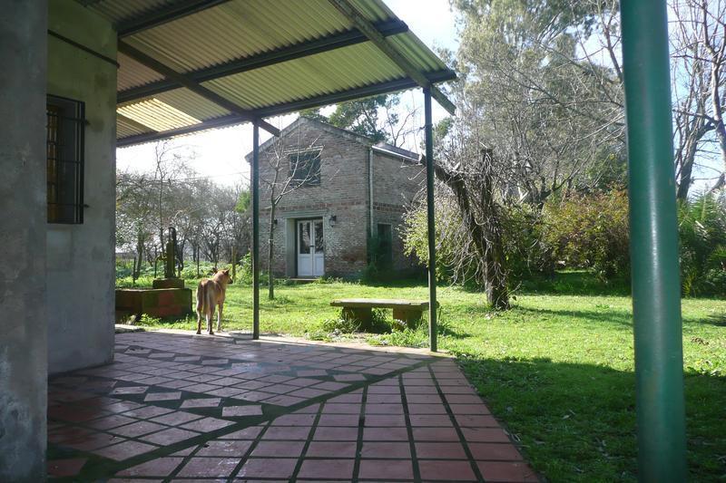 Foto de QUINTA EN CHASCOMUS SOBRE RUTA 2 CON 170 MTS DE FRENTE - IDEAL PARA, imagen 2