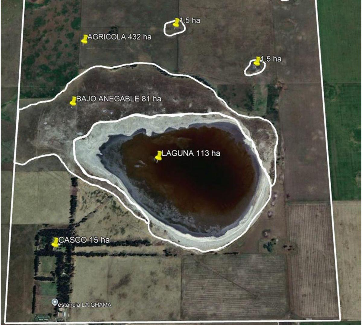 Foto de CAMPO AGRÍCOLA-GANADERO DE 644 HA EN SAN CAYETANO | EXCELENTE UBICACIÓN, imagen 2