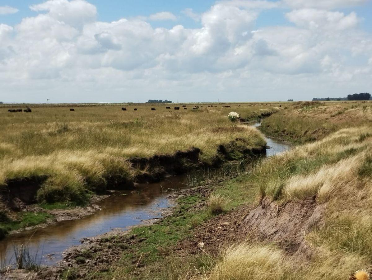 Foto de Excelente campo Mixto de 150has a tranquera cerrada, imagen 2