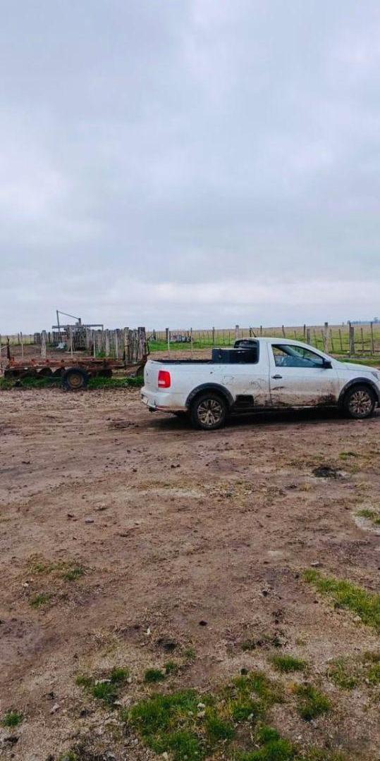 Foto de ALQUILER: EXCELENTE CAMPO GANADERO DE 1.000 HA EN LAS FLORES | COSTA DE, imagen 4