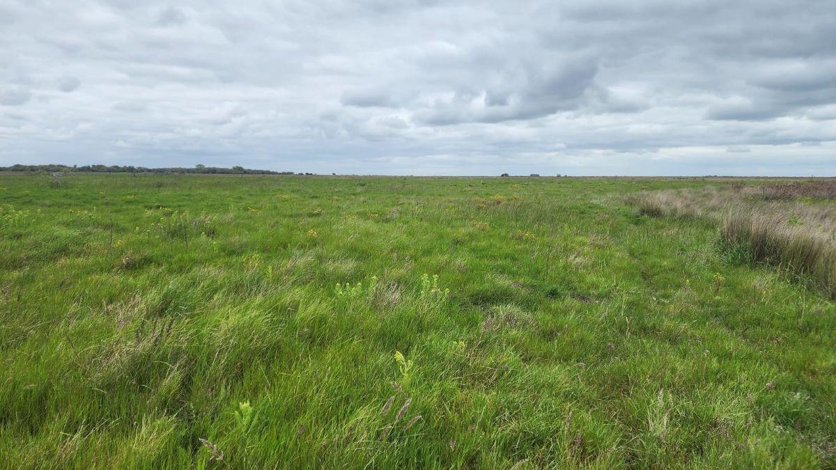 Foto de ALQUILER: EXCELENTE CAMPO GANADERO| 331 HA| GENERAL LAVALLE | AGUA, imagen 1