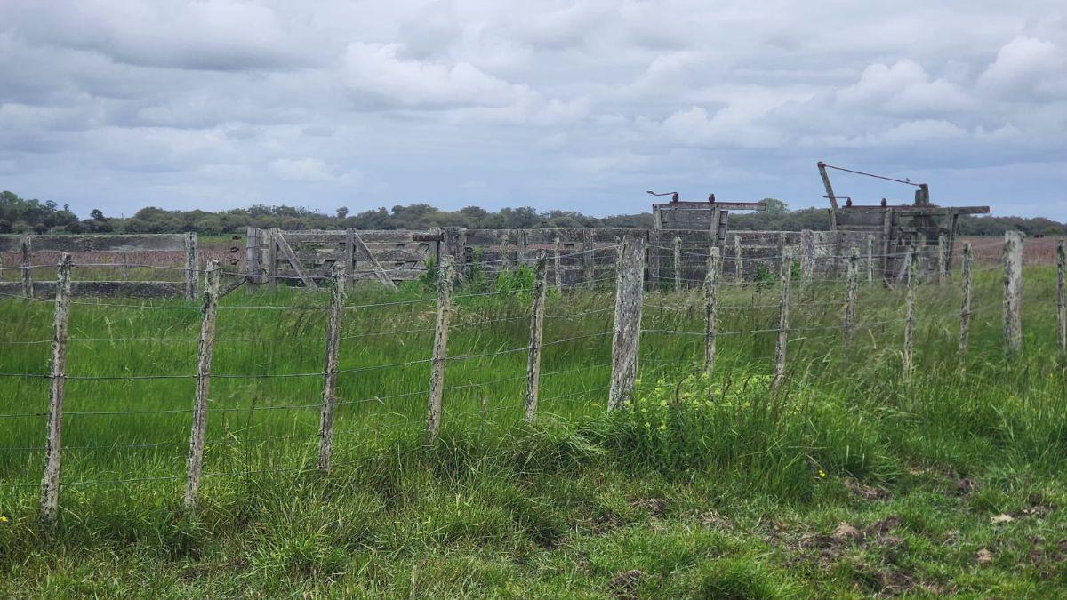Foto de ALQUILER: EXCELENTE CAMPO GANADERO| 331 HA| GENERAL LAVALLE | AGUA, imagen 2