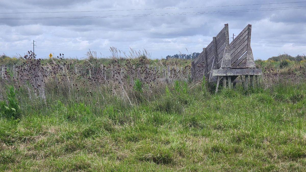 Foto de ALQUILER: EXCELENTE CAMPO GANADERO| 331 HA| GENERAL LAVALLE | AGUA, imagen 4