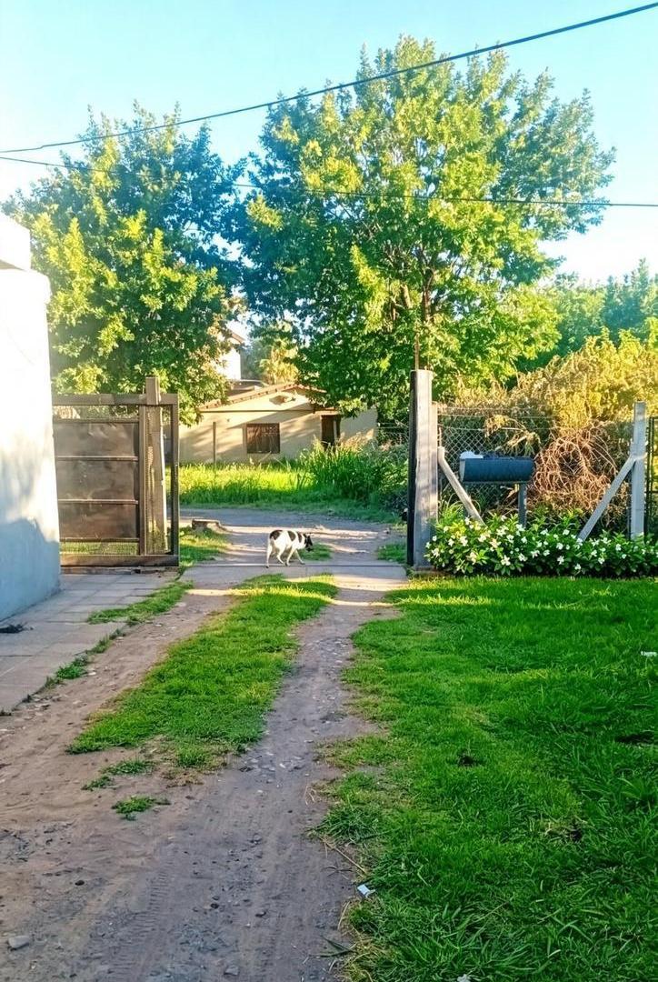 Foto de Monoambiente en Alquiler en Pilar, imagen 2