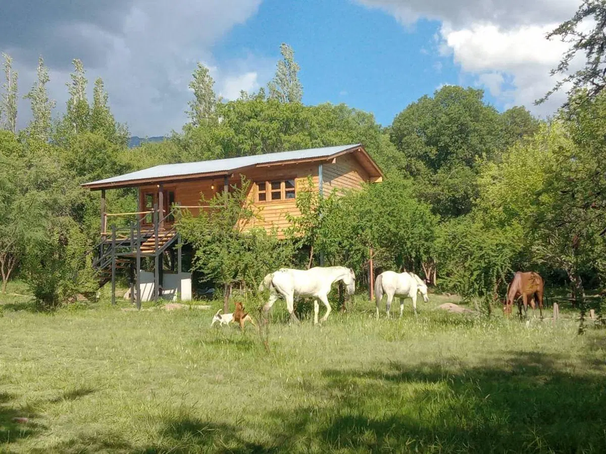 Complejo De Cabañas En Venta – “Nuestro Sol Apart Serrano” 5