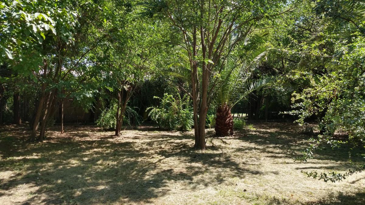Foto de Casa con excelente ubicación a la venta en San Javier, imagen 4