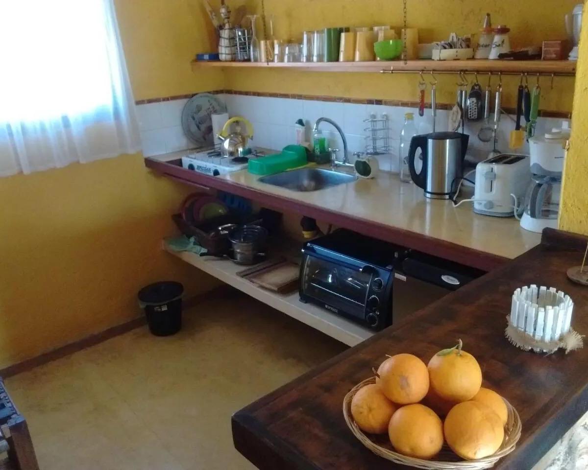 Foto de Magnifico campo a la venta en La Población, imagen 5