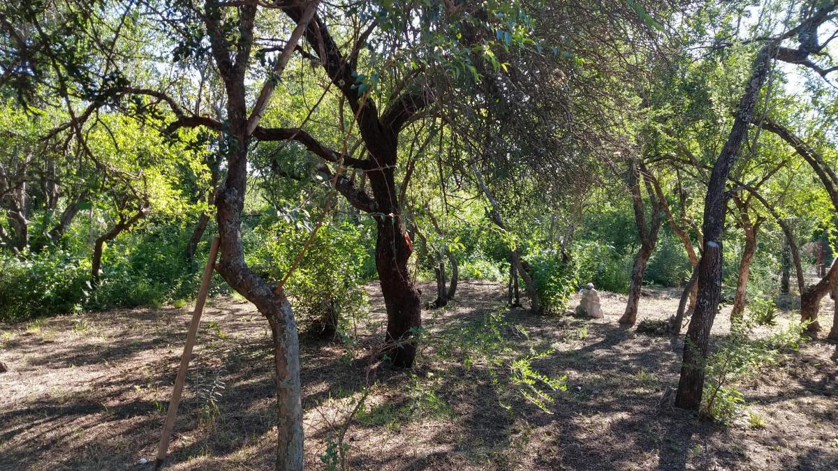 Casa de Adobe a Estrenar a La Venta en Villa de Las Rosas 4