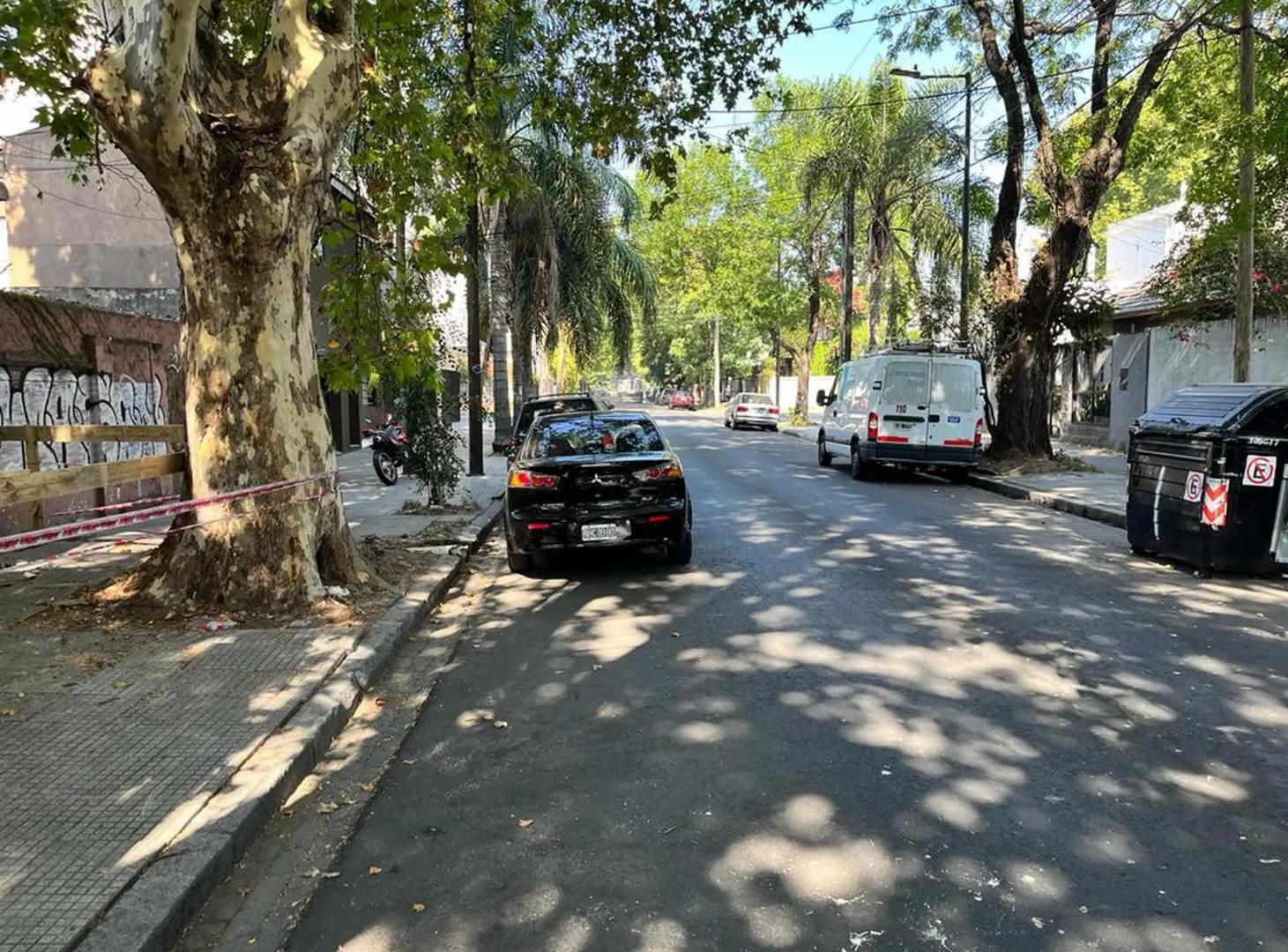 Foto de Muy buen terreno en Saavedra., imagen 5