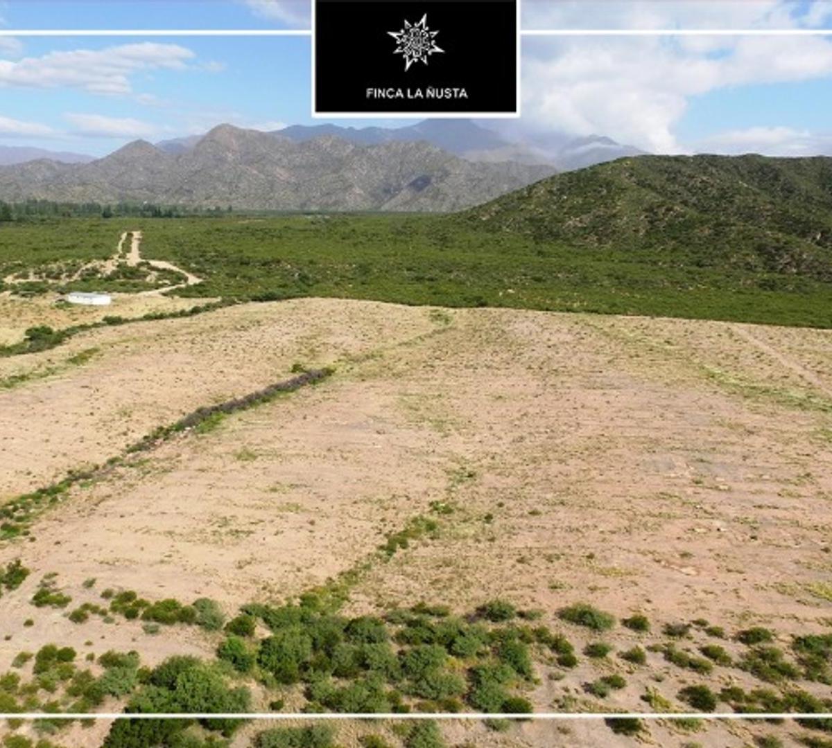 La Rioja Finca 300has - Apta Viñedos y Nogales 3