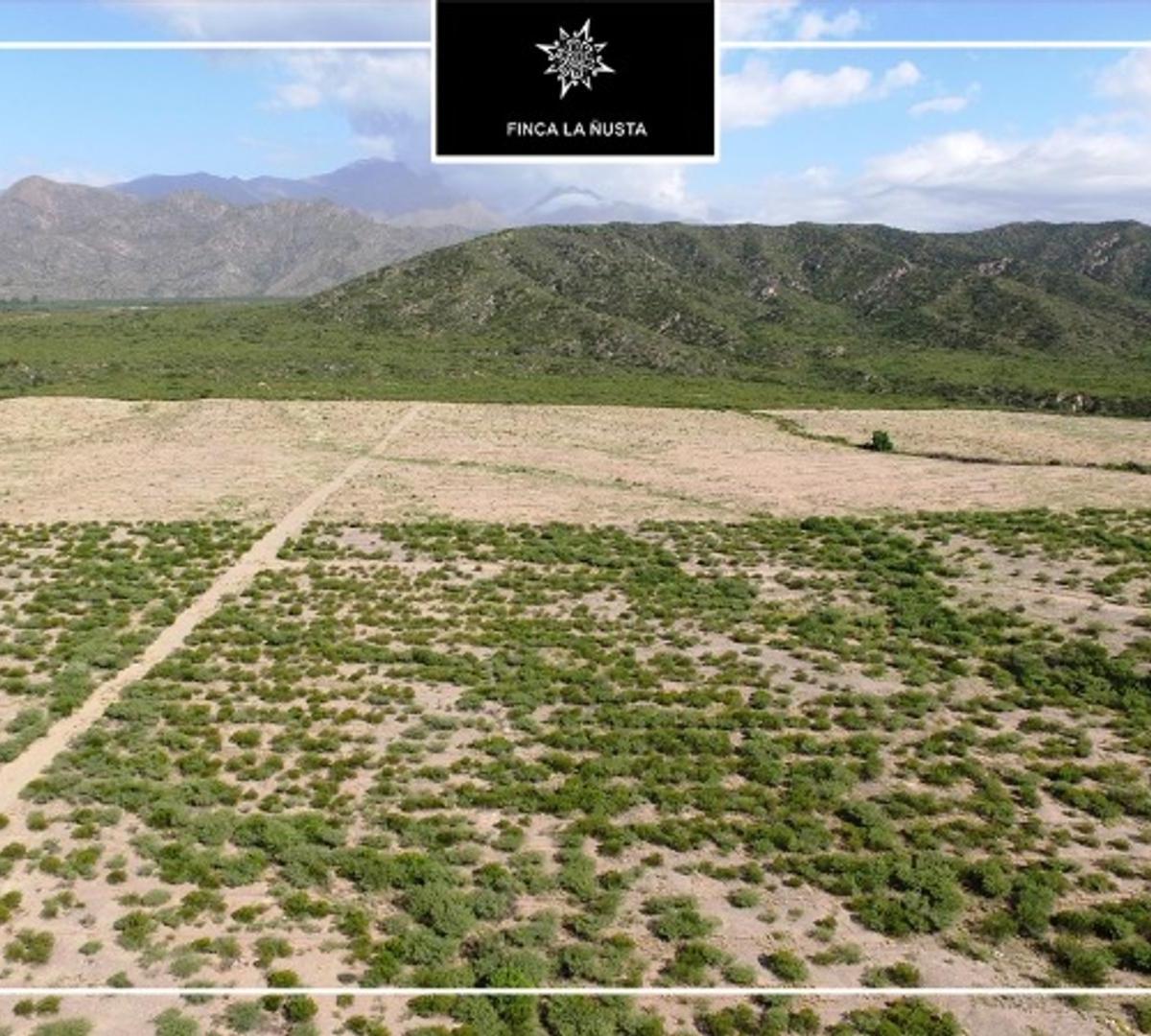 La Rioja Finca 300has - Apta Viñedos y Nogales 4