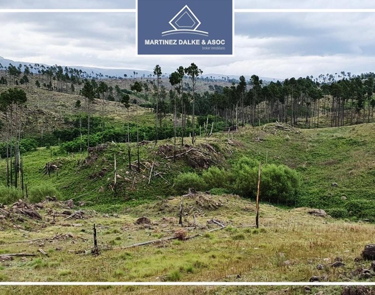 ATHOS PAMPA - Exclusivo loteo con vistas y playa de rio priv