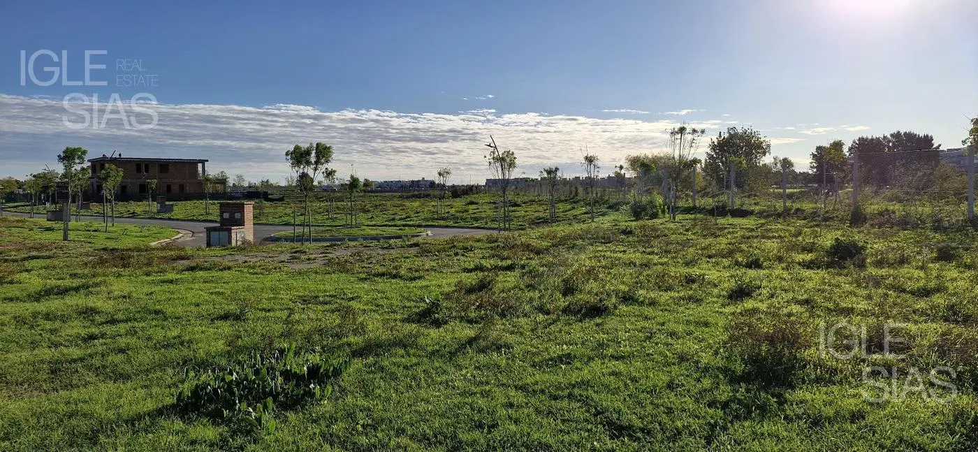 Terreno en venta en Silvestre, Nordelta 5