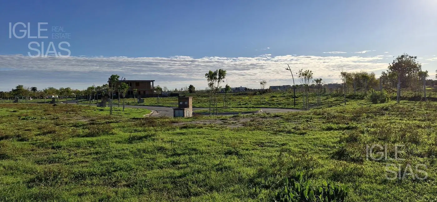Terreno en venta en Silvestre, Nordelta 3