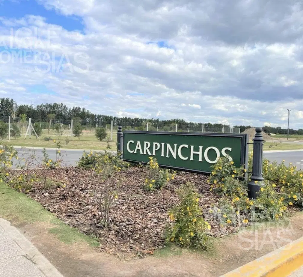 Terreno en venta en Carpinchos, Nordelta 3