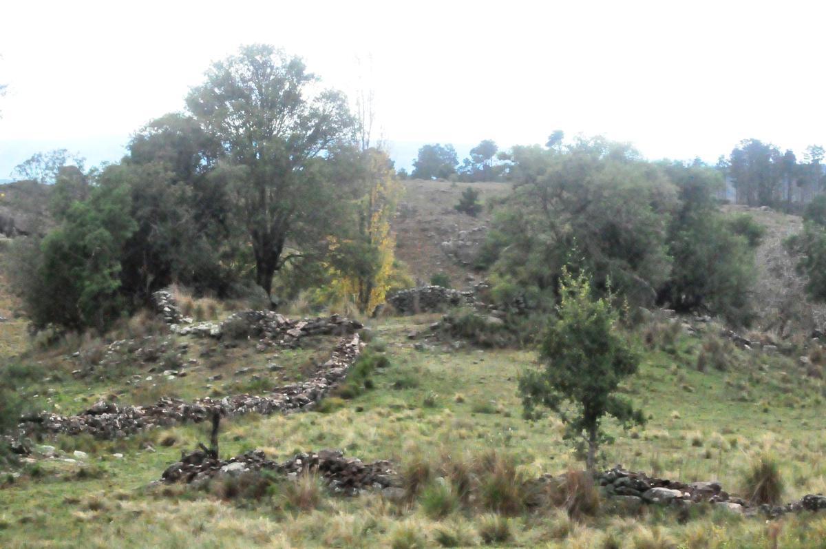 Cba - Yacanto Cal - Lote 2,6ha - Sobre Rs273 - 19 Lotes - Inc Viñed/restó - Vta Pan V de Calam - Sin Exp - Escrit 1