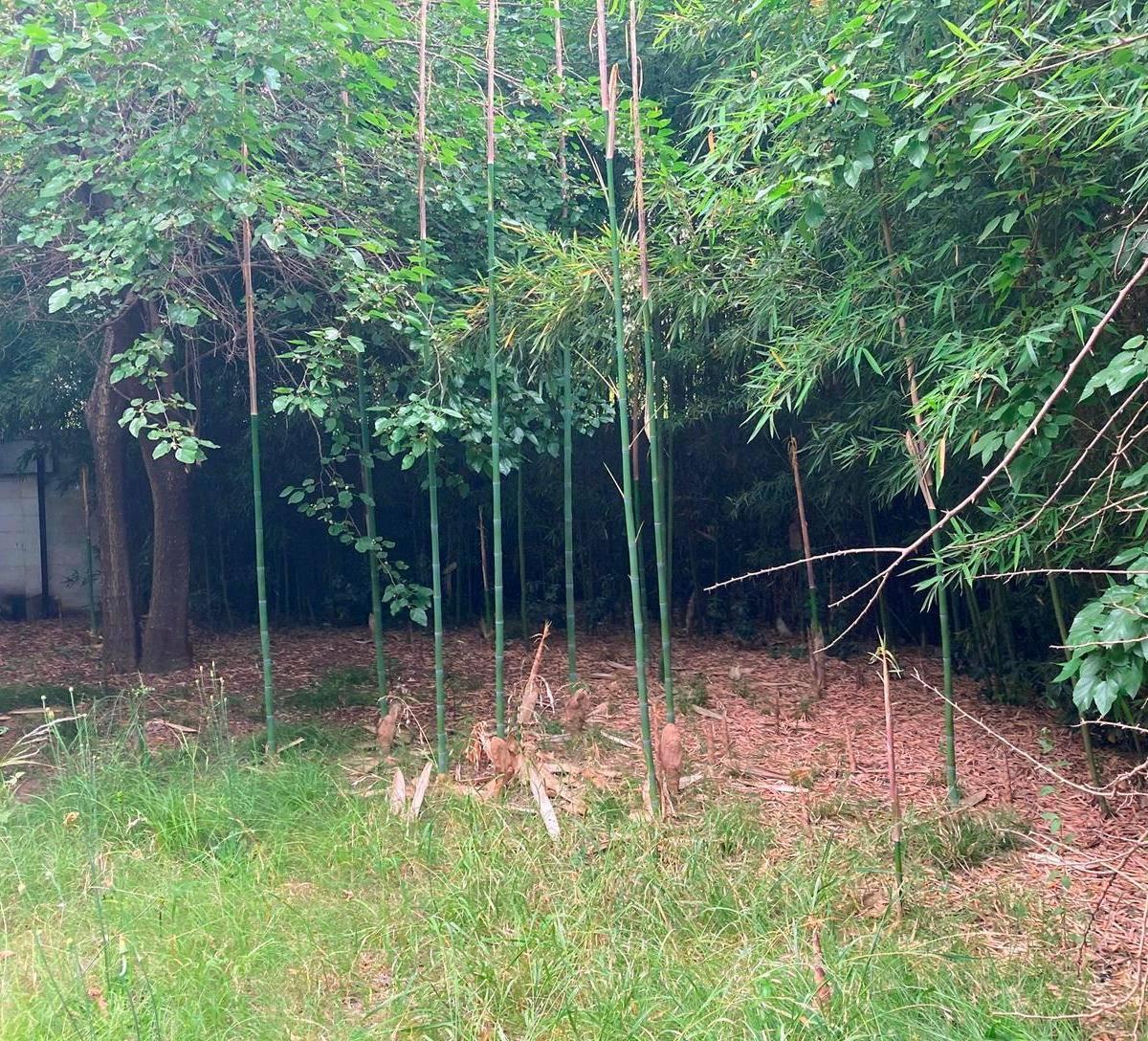 Terreno con Carpa Para Eventos /grahan Bell 2700/moreno/1300 m² U$s 60.000 3