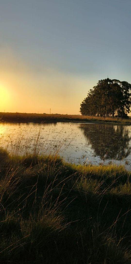 Foto de Campo en venta Corrientes Prov de Bs As / 70 hectareas / OPORTUNIDAD!, imagen 1