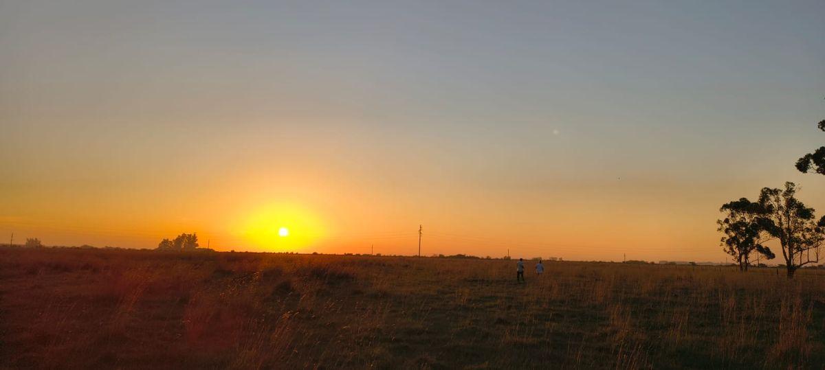 Foto de Campo en venta Corrientes Prov de Bs As / 70 hectareas / OPORTUNIDAD!, imagen 5