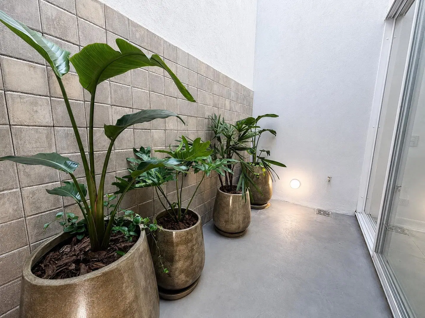 Ph de 3 ambientes a estrenar con patio 3